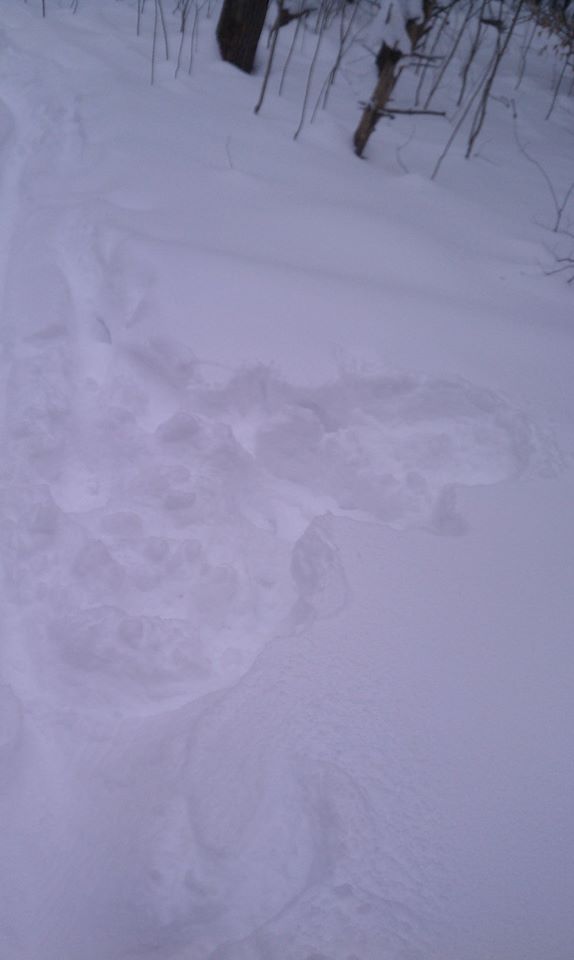 Ebike Snow Angel from one of many falls