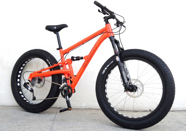 With a high-end component level the Quigly looks perfect for electricfication