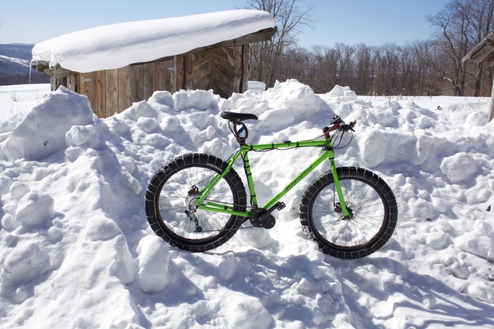 Welcome to the land of $7000/yr snow plowing bills. For Realz.