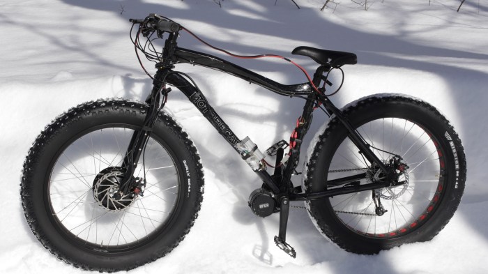 The Reaper is not to Stealthy with that giant 12T Mac front hub motor and exposed controller.