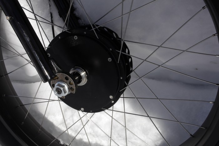 Dr Bass Torque Arms are way more sexy than the ebikes.ca Torque arms are. Nothing screams 'cheapskate' like hoseclamps on the front forks.