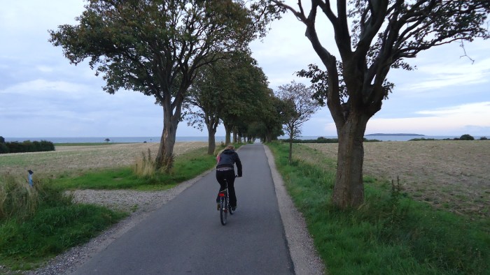 In the country there are rural bike lanes everywhere where cars are not allowed.