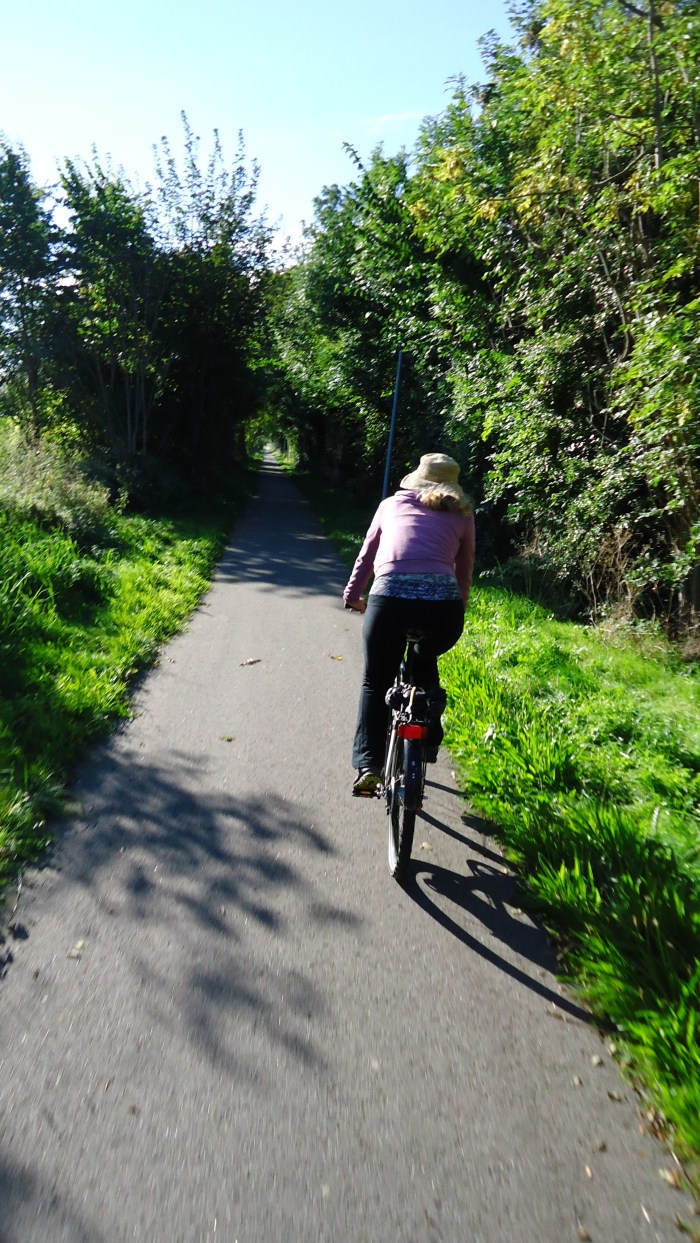 Although the law is that bikes must have lights at night many of the bike lanes are lit by street lights.