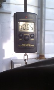 Save a lb and ditch the comfort seat, but your ass will suffer.