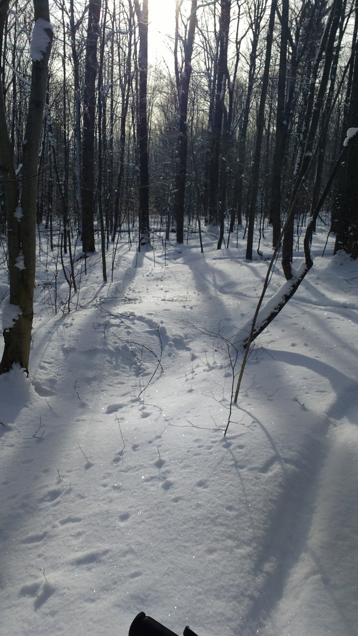 IMG_20160122_093615261