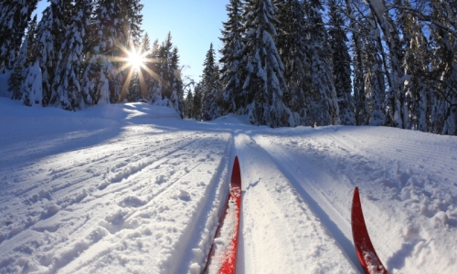 1437_2198_West_Yellowstone_Cross_Country_Skiing_md