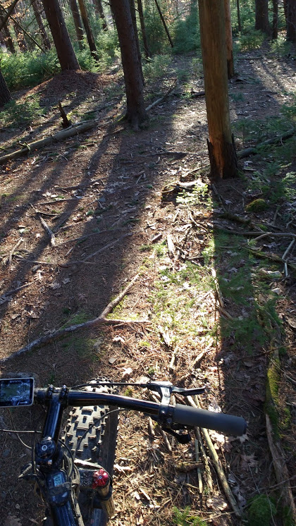 This fork is no where near as nice as the Bluto, but it is still surprisingly good for a cheap ass fork