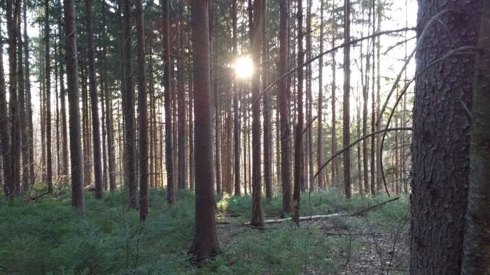 Living the dream, baby.