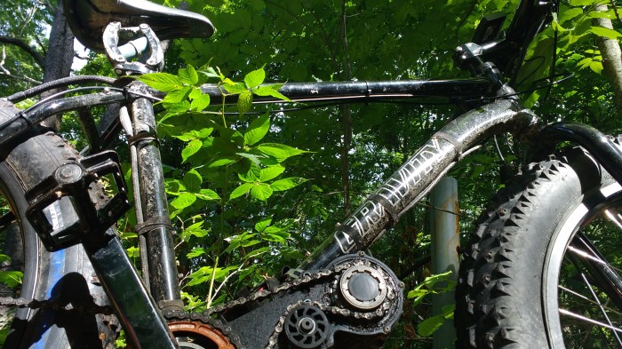 img_20160822_103336787